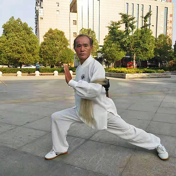 当代中华武坛名人榜---陈效龙