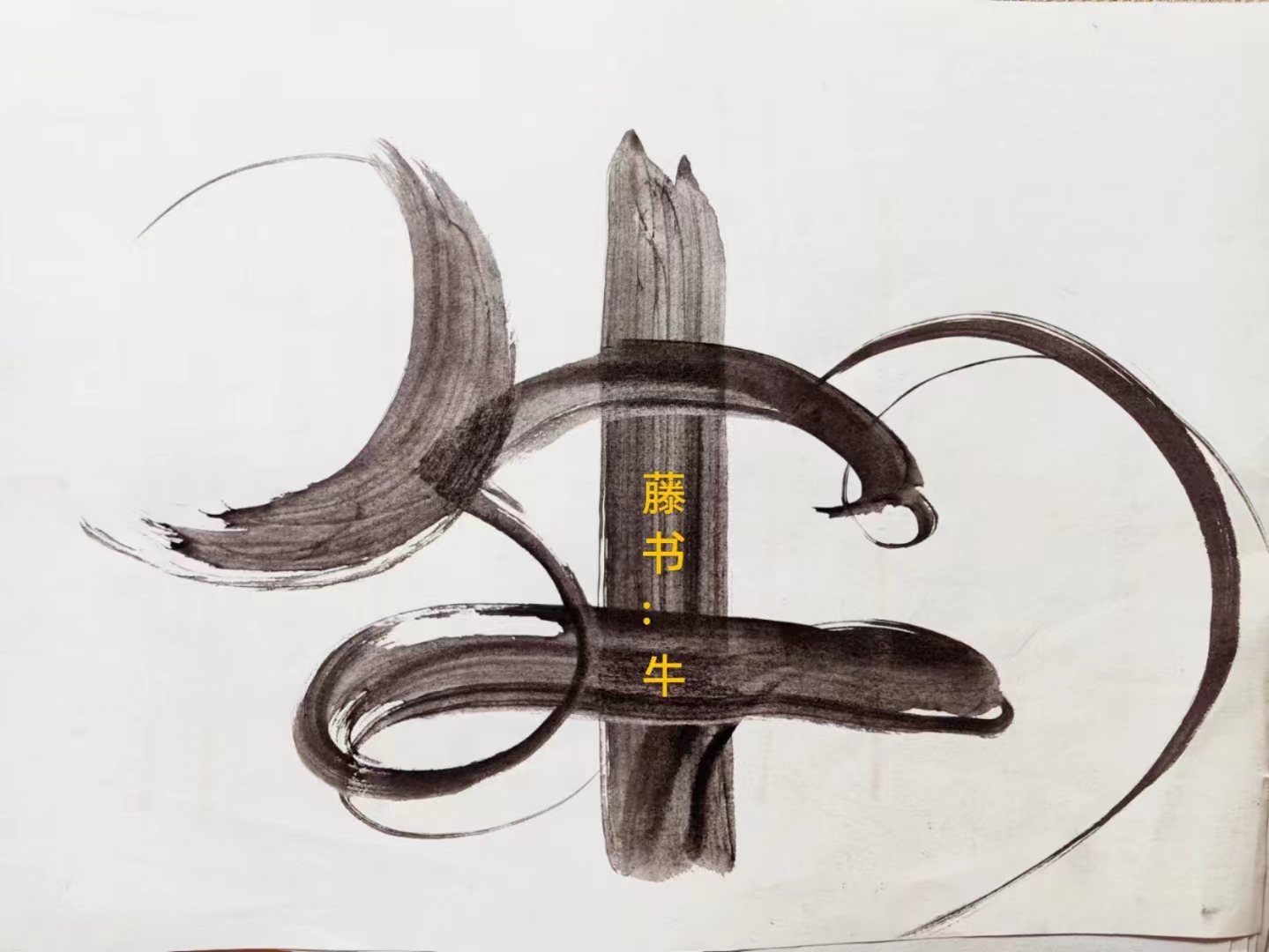 微信图片_20231129160646.jpg