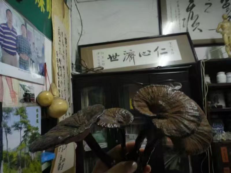微信图片_20251016100547_224_58.jpg