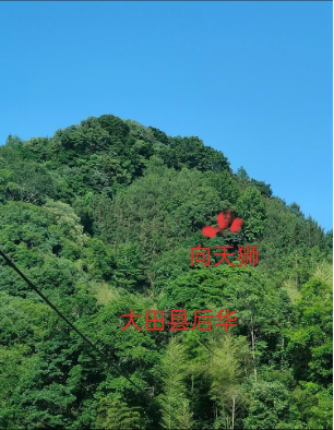 微信截图_20230712080500.png