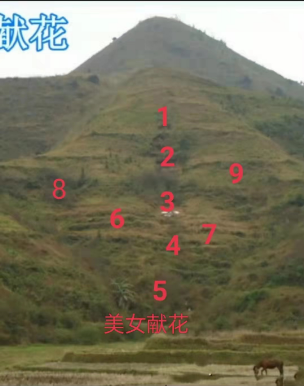 微信截图_20230710160607.png