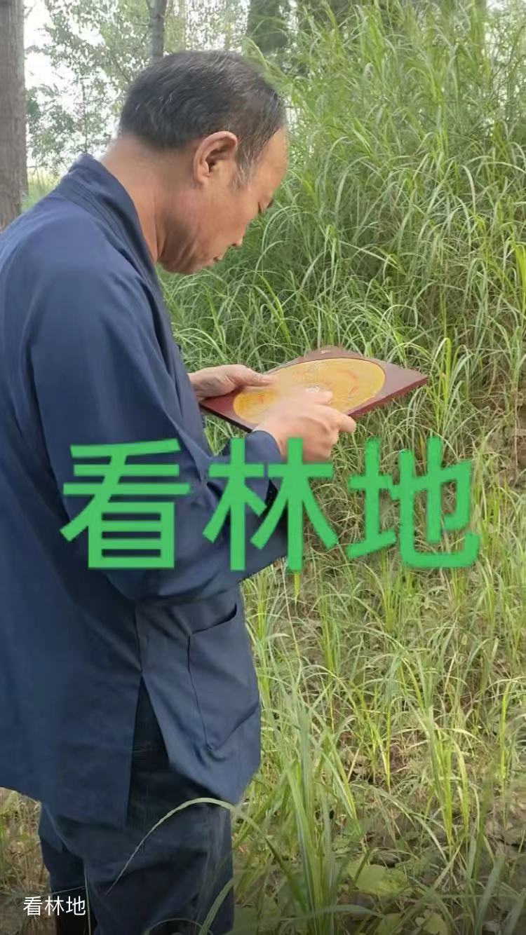 微信图片_20221028101653.jpg