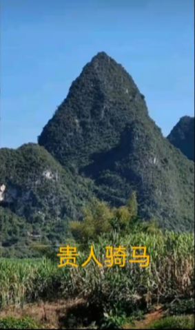 111.png